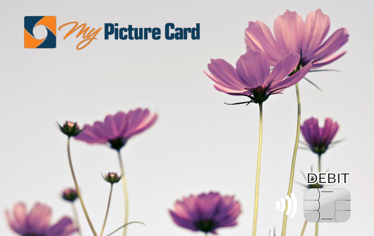 sample card