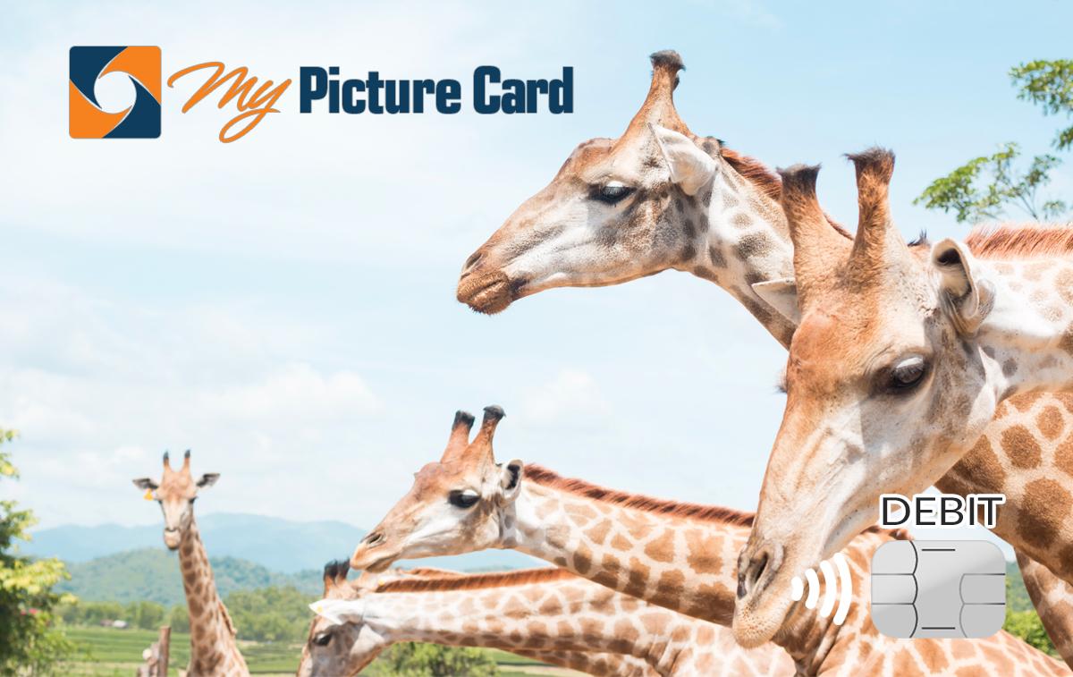 sample card